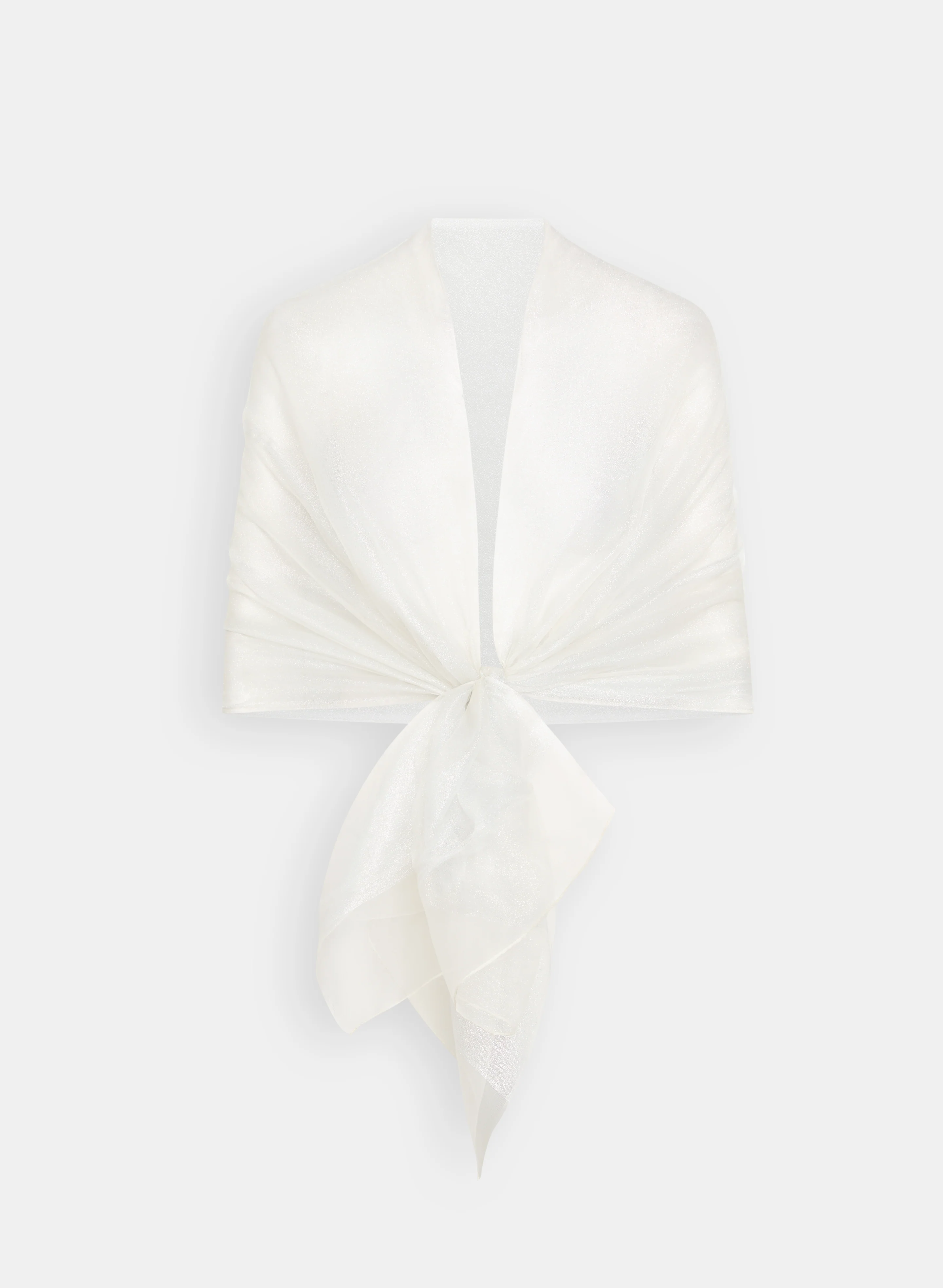 Sheer Organza Scarf