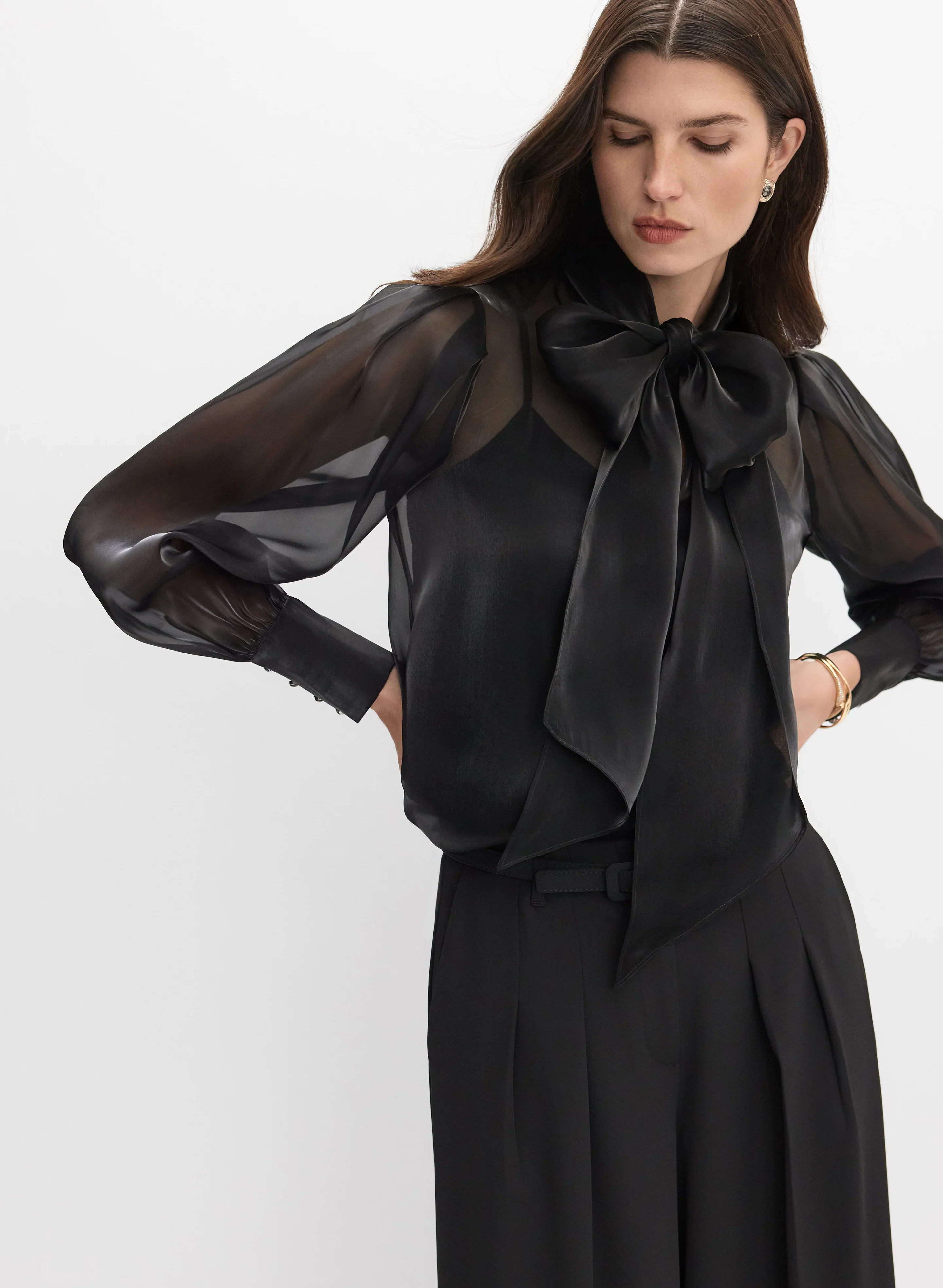 Shimmer Organza Blouse